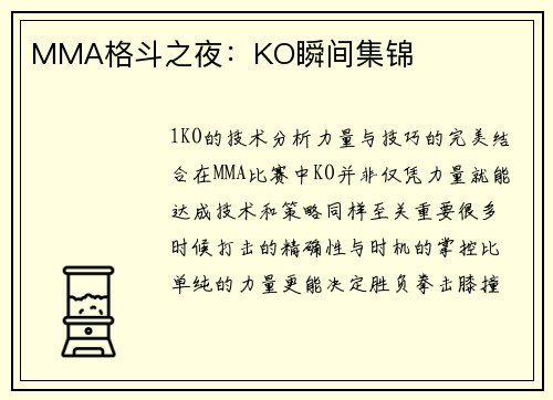 MMA格斗之夜：KO瞬间集锦